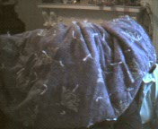 blankie.jpg